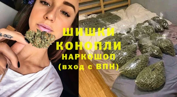 дурь Алзамай