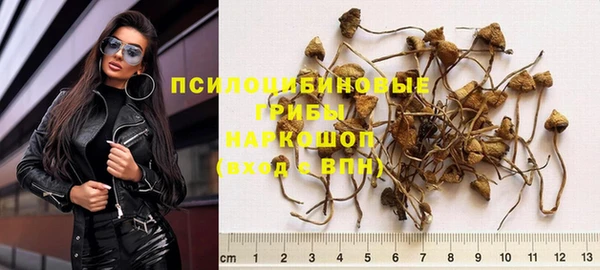 дурь Алзамай